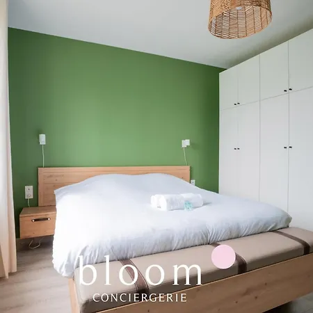 Le Solignac Neuf Et Equipe * Nancy