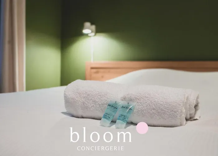 דירה Le Solignac Neuf Et Equipe *