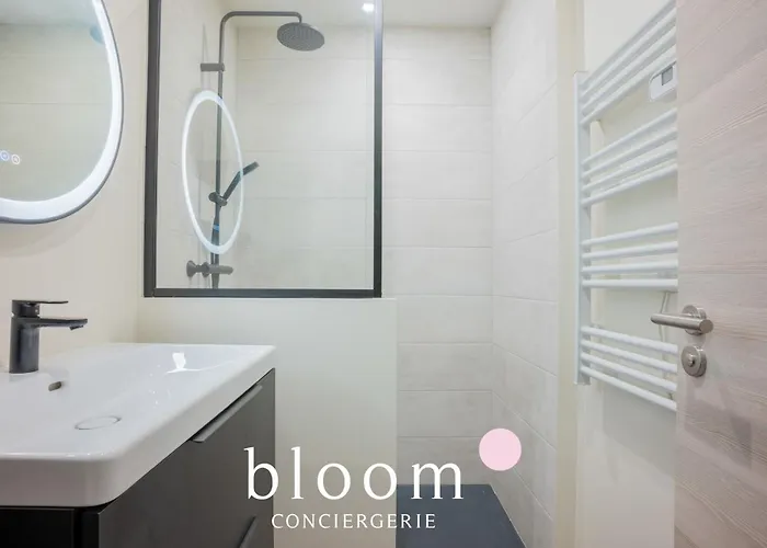 Le Solignac Neuf Et Equipe נאנסי