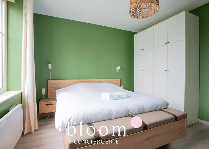 Le Solignac Neuf Et Equipe * נאנסי